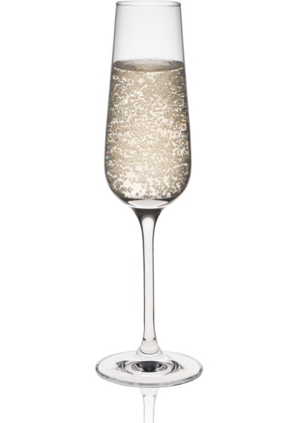 Invitation Şampanya Kadehi - 180 ml - 6lı Set