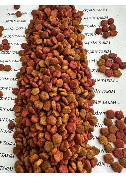 Yetişkin Kediler Için Gurme Kuru Mama Kedi Maması Renkli Taneli Karışık 2.5 kg fiyatları