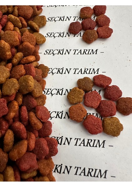 Yetişkin Kediler Için Gurme Kuru Mama Kedi Maması Renkli Taneli Karışık 2.5 kg fırsatları
