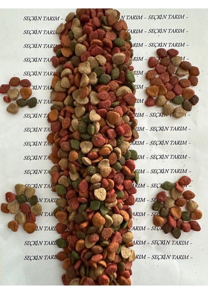 Yetişkin Kediler Için Gurme Kuru Mama 3 kg - Renkli Gurme Kedi Maması Sokak Kedileri 3 kg fiyatları