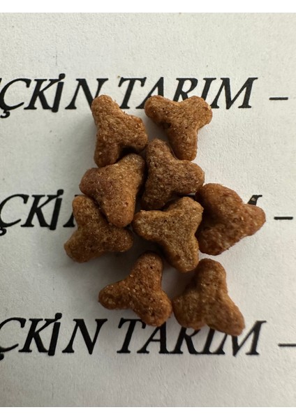 Yavru Kediler Için Tavuklu Kuru Mama Yavru Kedi Maması Tavuklu 2.5 kg indirimleri