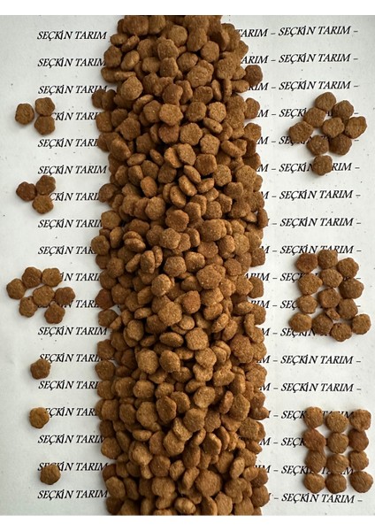Yetişkin Kediler Için Tavuklu Kuru Mama Tavuk Etli Kedi Maması 2.5 kg fiyatları
