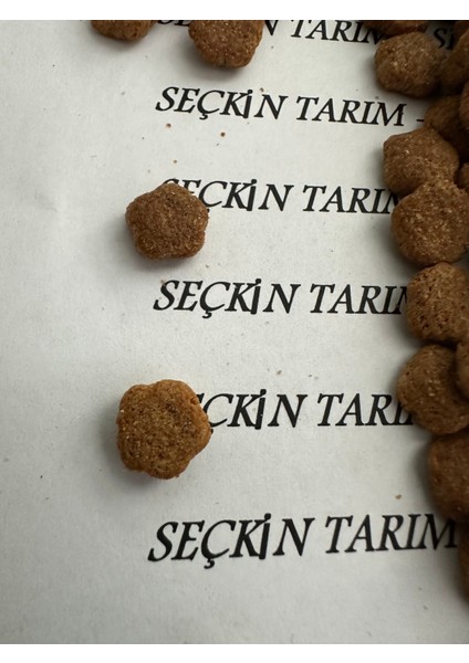 Yetişkin Kediler Için Tavuklu Kuru Mama Tavuk Etli Kedi Maması 2.5 kg fırsatları