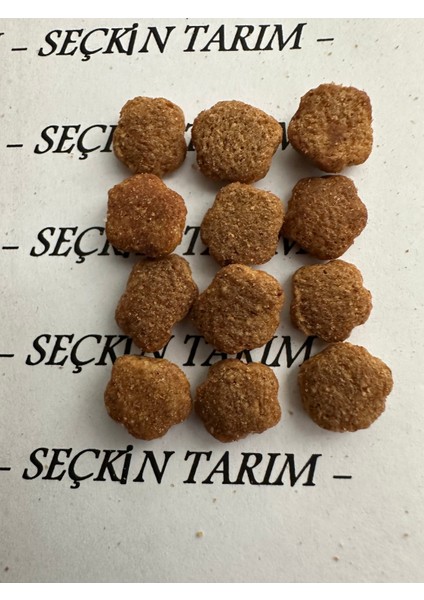 Yetişkin Kediler Için Tavuklu Kuru Mama Tavuk Etli Kedi Maması 2.5 kg indirimleri