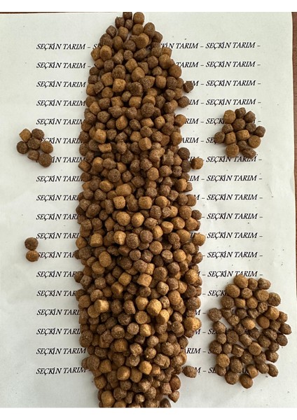 Yavru Kediler Için Tavuklu Kuru Mama 3 kg - Yavru Kedi Maması Sokak Kedileri 3 kg fiyatları