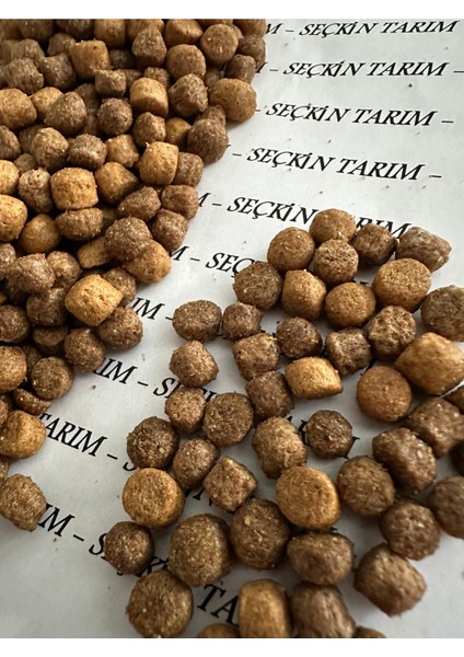Yavru Kediler Için Tavuklu Kuru Mama 3 kg - Yavru Kedi Maması Sokak Kedileri 3 kg fırsatları