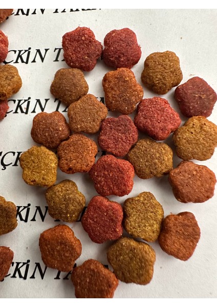 Yetişkin Kediler Için Gurme Kuru Mama Kedi Maması Renkli Taneli Karışık 1 kg fırsatları