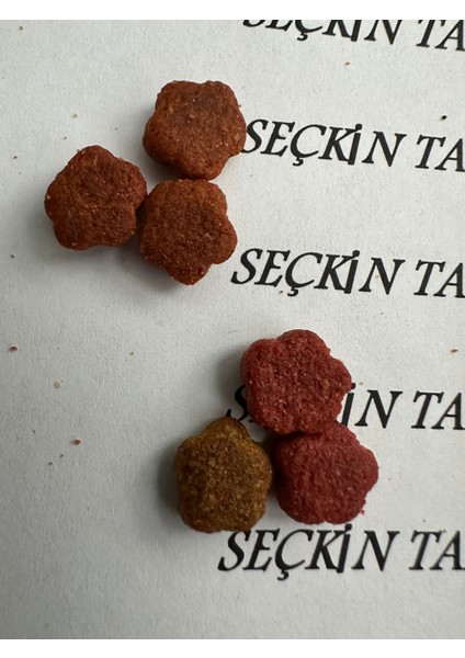 Yetişkin Kediler Için Gurme Kuru Mama Kedi Maması Renkli Taneli Karışık 1 kg indirimleri