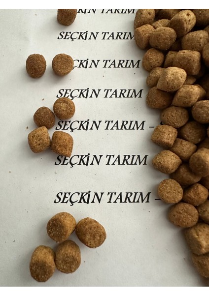 Yetişkin Kediler Için Kuzu Etli Kuru Mama Kedi Maması Kuzulu 2.5 kg modelleri