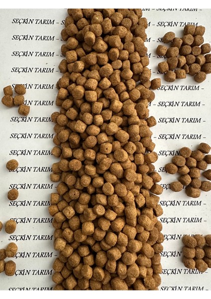 Yetişkin Kediler Için Kuzu Etli Kuru Mama Kedi Maması Kuzulu 1 kg fiyatları
