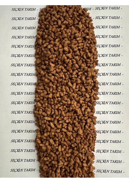 Yavru Kediler Için Tavuklu Kuru Mama Yavru Kedi Maması Tavuklu 1 kg fiyatları