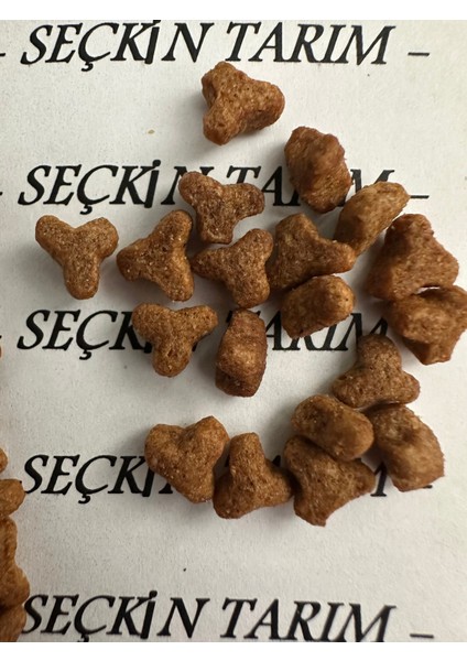 Yavru Kediler Için Tavuklu Kuru Mama Yavru Kedi Maması Tavuklu 1 kg modelleri