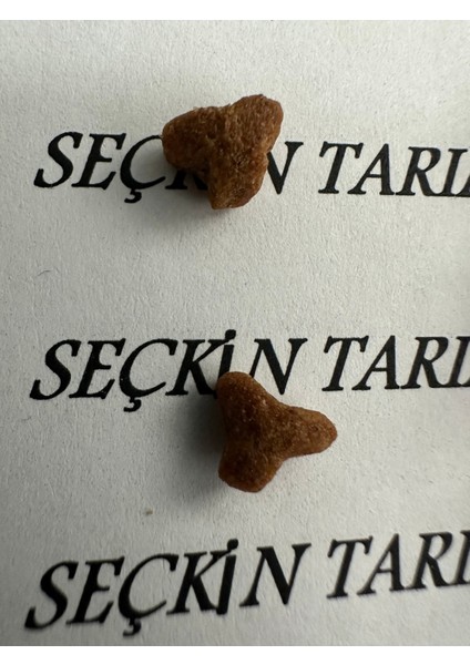 Yavru Kediler Için Tavuklu Kuru Mama Yavru Kedi Maması Tavuklu 1 kg fırsatları