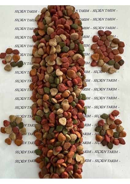 Yetişkin Kediler Için Gurme Kuru Mama 1 kg - Renkli Gurme Kedi Maması Sokak Kedileri 1 kg fiyatları