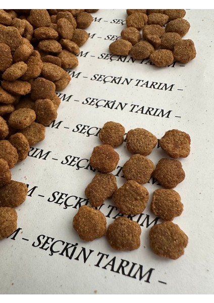Yetişkin Kediler Için Tavuklu Kuru Mama Tavuk Etli Kedi Maması 1 kg