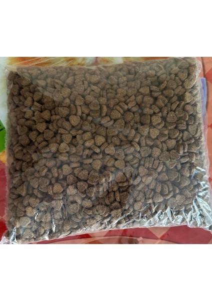 Sokak Hayvanları Kediler Için Destek Maması Kedi Maması 5 kg