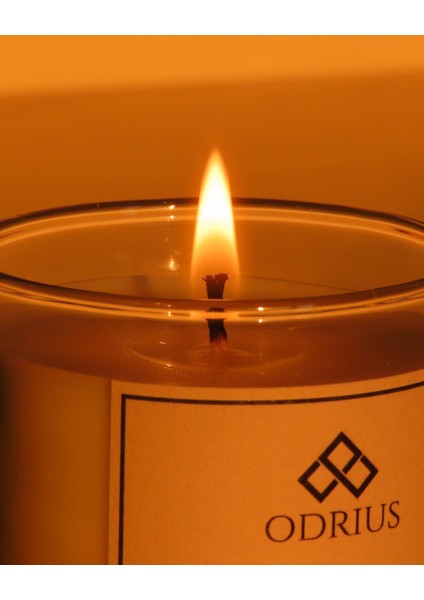 KACHKAR Kokulu Mum – Çam & Sedir – Ferah ve Temiz Koku – El Yapımı Uzun Süreli Mum – Soya & Hindistan Cevizi Bazlı ve Rafine Mineral ile Zenginleştirilmiş Özgün Mum Karışımı – 150 gram - ODRIUS fırsatları