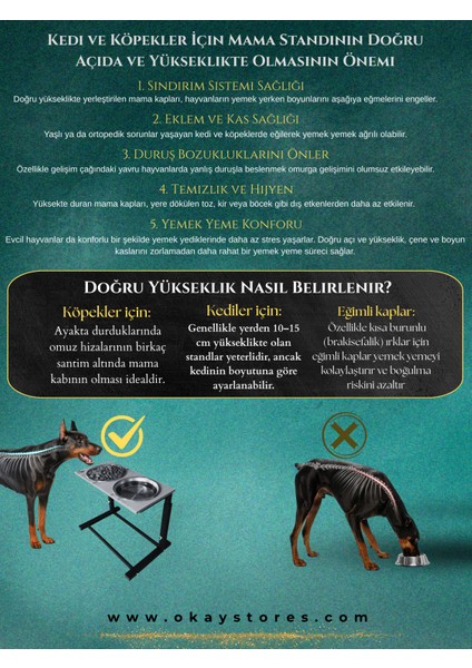 Kedi-Köpek Standı Ayarlanabilir 3 Yükseklik 2 Paslanmaz Çelik Mama Su Kabı Kedi-Köpek Kasesi Standı indirimleri