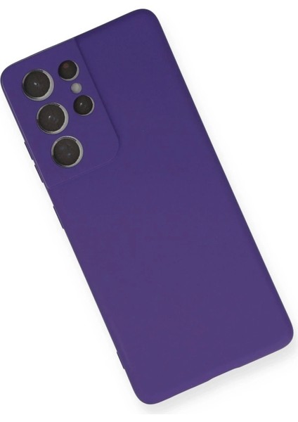 Newface Samsung Galaxy S21 Ultra Kılıf Nano Içi Kadife Silikon - Mor modelleri