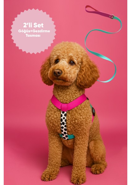 Çekiştirme Önleyici Ayarlanabilir H Tipi Köpek Göğüs ve Gezdirme Tasması Seti