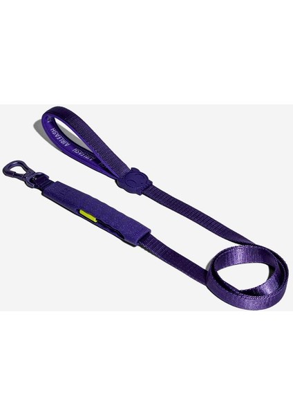 Violet Airleash Gezdirme Tasması - Zee.dog
