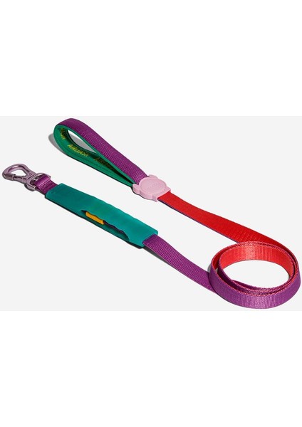 Cali Dos Airleash Gezdirme Tasması - Zee.dog