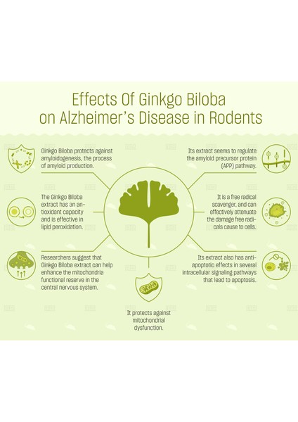 Extra Strength Ginkgo Biloba 120 mg Helps Support Mental Function And Memory Hafıza Zeka Brain fiyatları