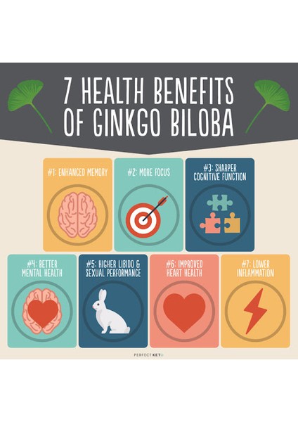 Extra Strength Ginkgo Biloba 120 mg Helps Support Mental Function And Memory Hafıza Zeka Brain