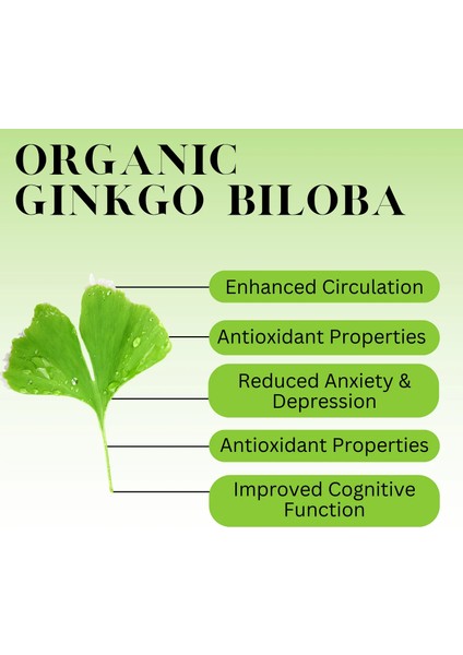 Extra Strength Ginkgo Biloba 120 mg Helps Support Mental Function And Memory Hafıza Zeka Brain