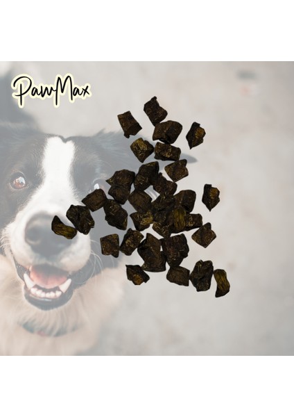 Beef Liver Bites 200 G | Doğal %100 Dana Karaciğeri Küpleri Köpek Ödülü fiyatları