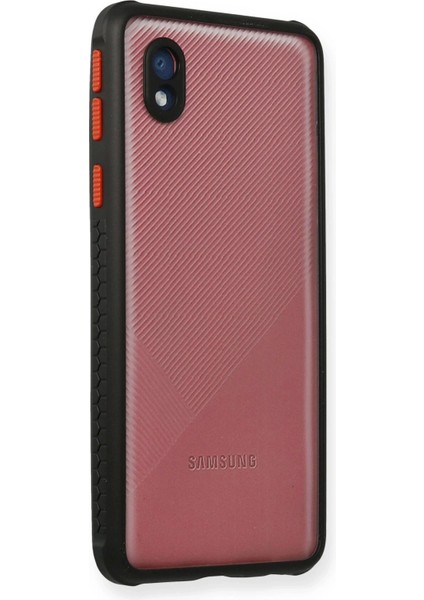 Newface Samsung Galaxy A01 Core Kılıf Miami Şeffaf Silikon - Siyah