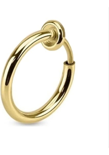 Deliksiz Bas Çek Çelik Küpe – Gold & Gümüş | Kıkırdak, Burun ve Kulak Için modelleri
