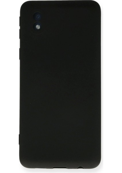 Newface Samsung Galaxy A01 Core Kılıf Nano Içi Kadife Silikon - Siyah