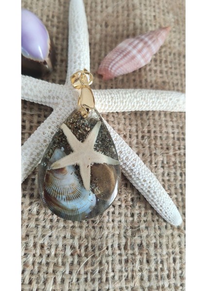 Deniz Yıldızı, Sade, Deniz Manzaralı