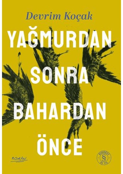 Yağmurdan Sonra Bahardan Önce - Devrim Koçak