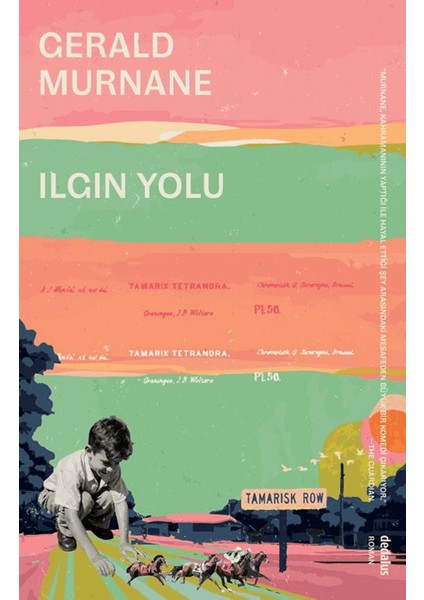 Ilgın Yolu