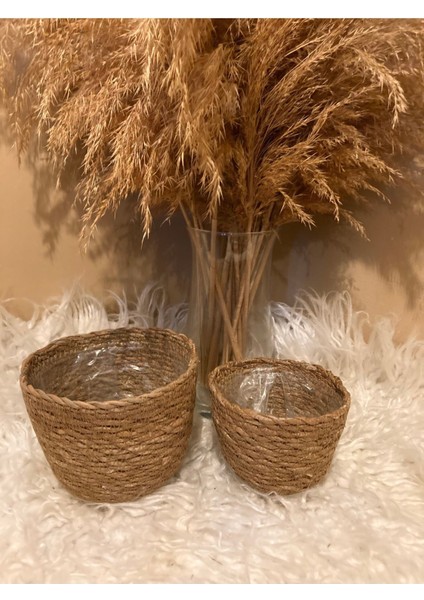 2'li Hasır Silindir Saksılık En Küçük Boylar