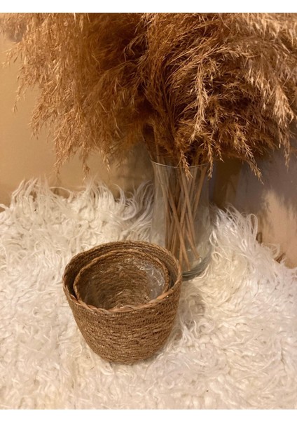 2'li Hasır Silindir Saksılık En Küçük Boylar
