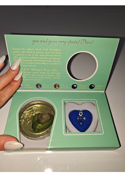 Gerçek Istiridye Içinde Inci Kolye