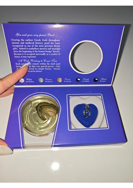 Gerçek Istiridye Içinde Inci Kolye