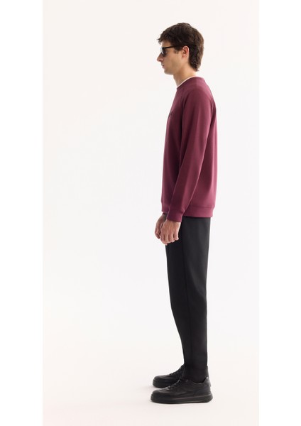 Erkek Mürdüm Bisiklet Yaka Pamuklu Bi-Stretch Baskılı Regular Fit Sweatshirt A52Y1249 modelleri