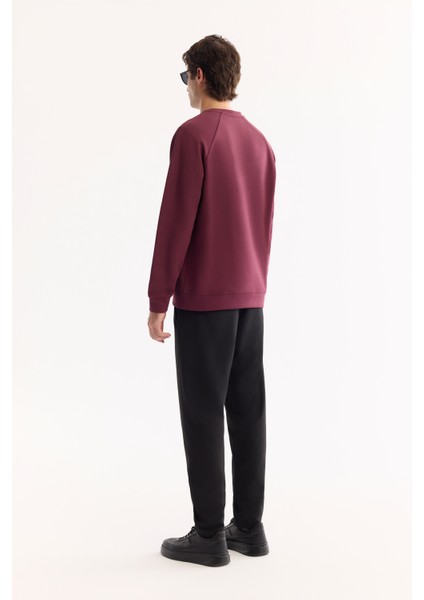 Erkek Mürdüm Bisiklet Yaka Pamuklu Bi-Stretch Baskılı Regular Fit Sweatshirt A52Y1249 fırsatları
