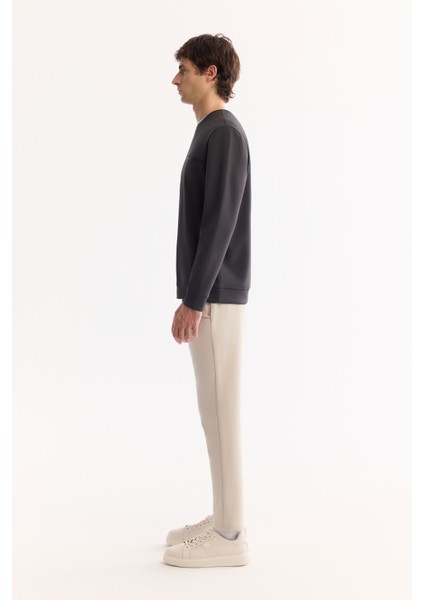 Erkek Antrasit Bisiklet Yaka Pamuklu Bi-Stretch Baskılı Regular Fit Sweatshirt A52Y1325