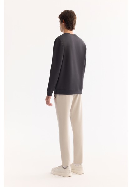 Erkek Antrasit Bisiklet Yaka Pamuklu Bi-Stretch Baskılı Regular Fit Sweatshirt A52Y1325