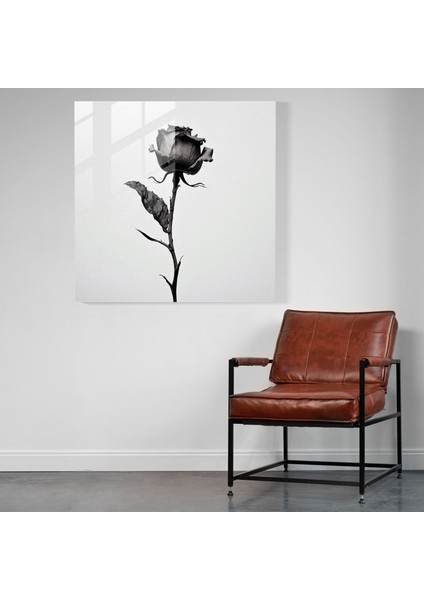 Kuru Çiçek Cam Duvar Sanatı - Duvar Dekorasyonu Fotoğraf - Kuru Çiçek fiyatları