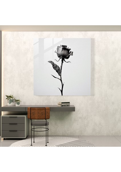 Kuru Çiçek Cam Duvar Sanatı - Duvar Dekorasyonu Fotoğraf - Kuru Çiçek modelleri