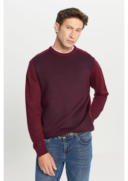 Standart Fit Normal Kesim Bisiklet Yaka Jakarlı Triko Kazak