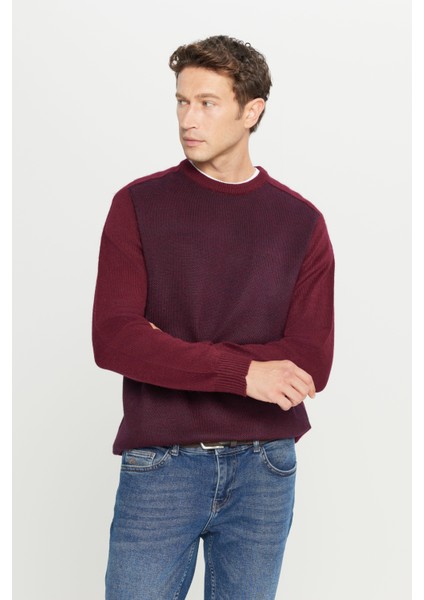 Standart Fit Normal Kesim Bisiklet Yaka Jakarlı Triko Kazak modelleri