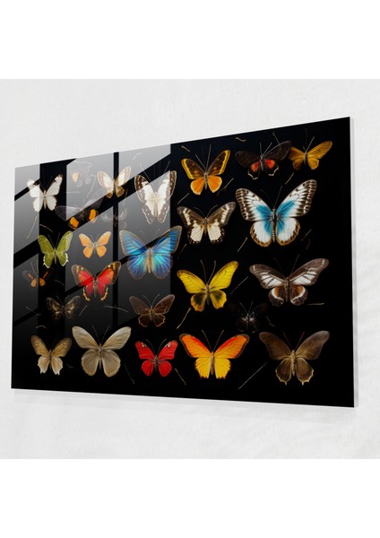 Canlı Simetri ile Kurutulmuş Kelebekler Cam Duvar Sanatı - Modern Sanat - Ev Dekorasyonu