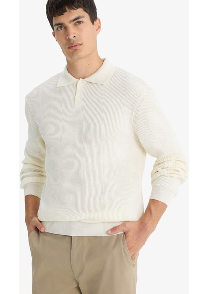 Standart Fit Polo Yaka Düğmeli Triko Kazak D1959AX25AU